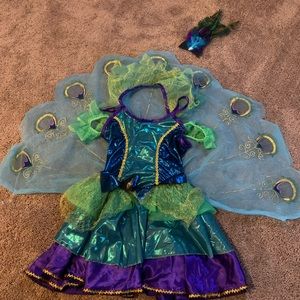 Peacock Costume